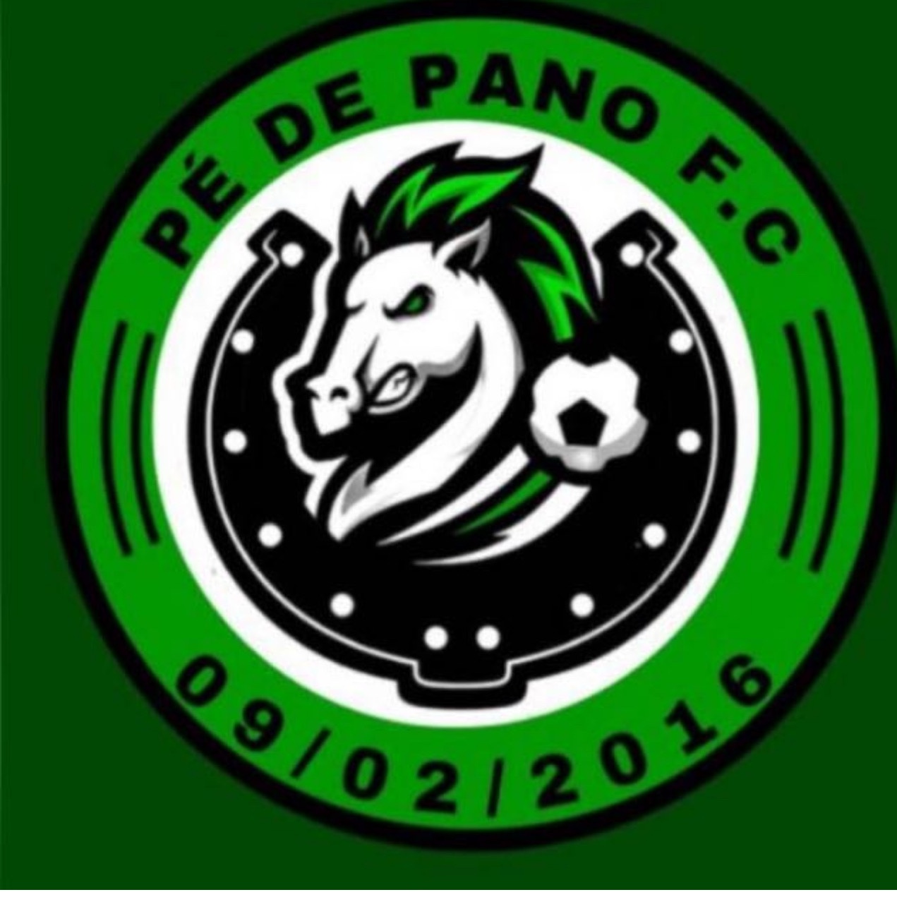 Escudo de Pé De Pano