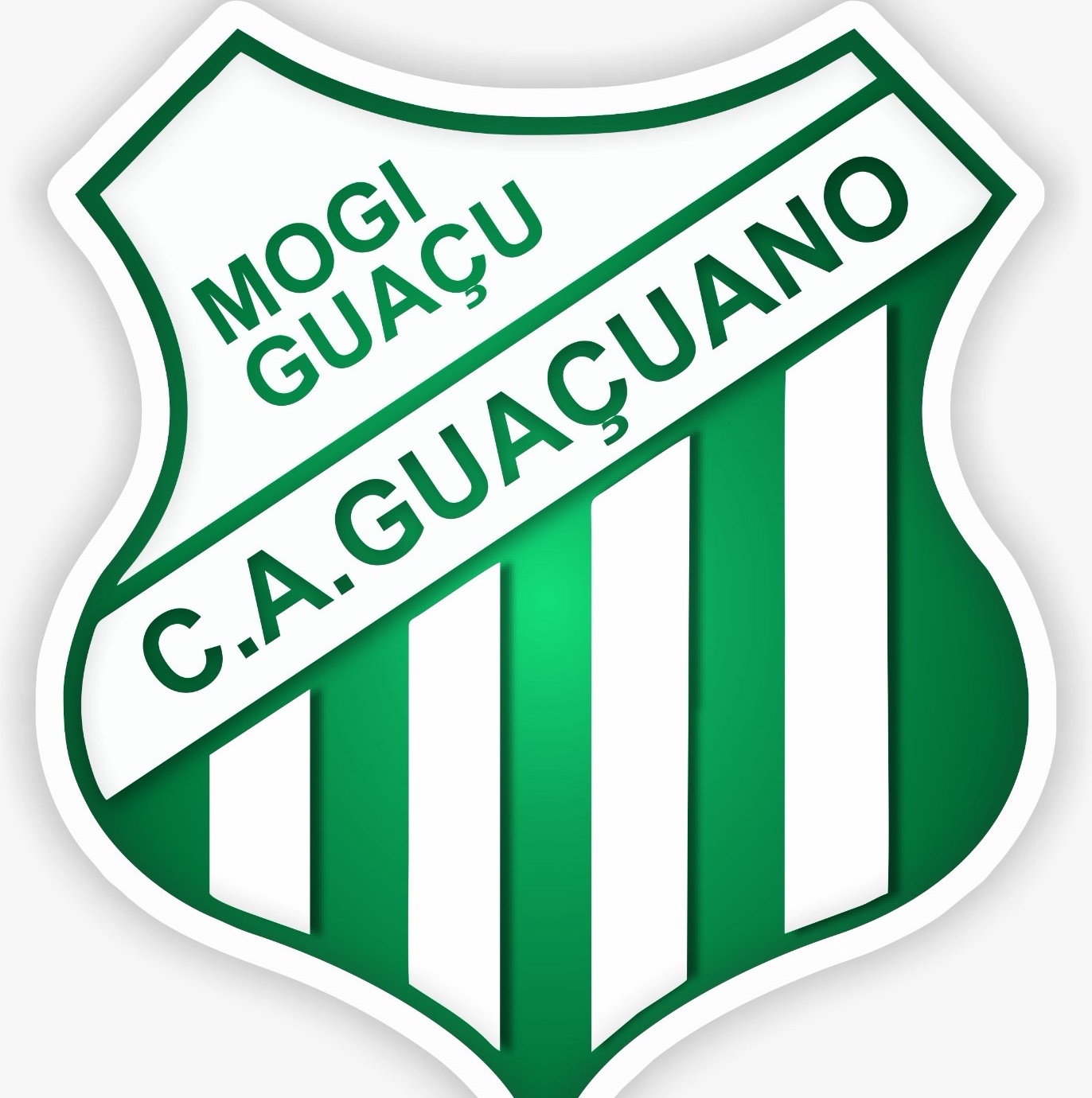 Escudo de Guaçuano Sub12