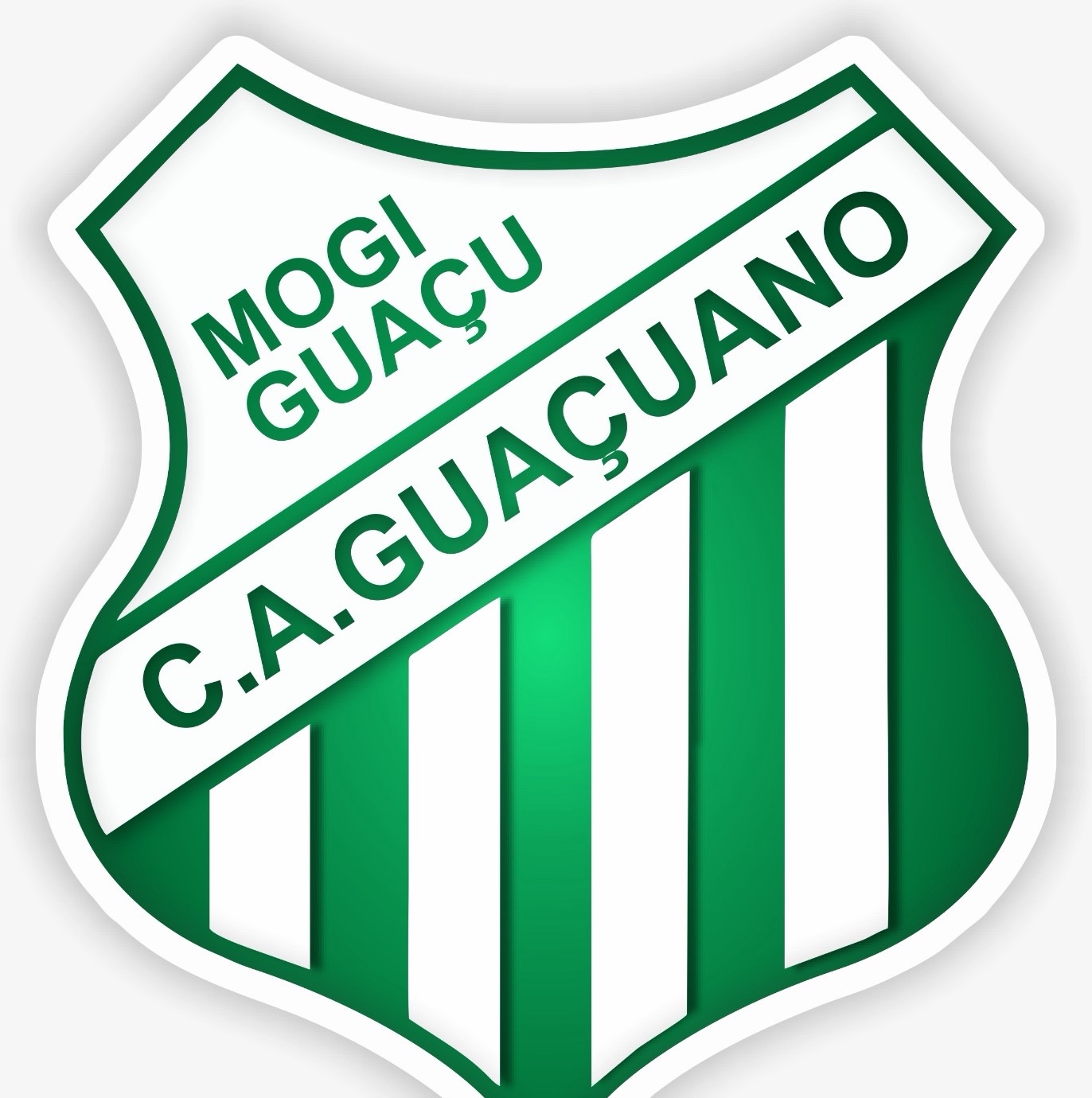 Escudo de Guaçuano Sub13