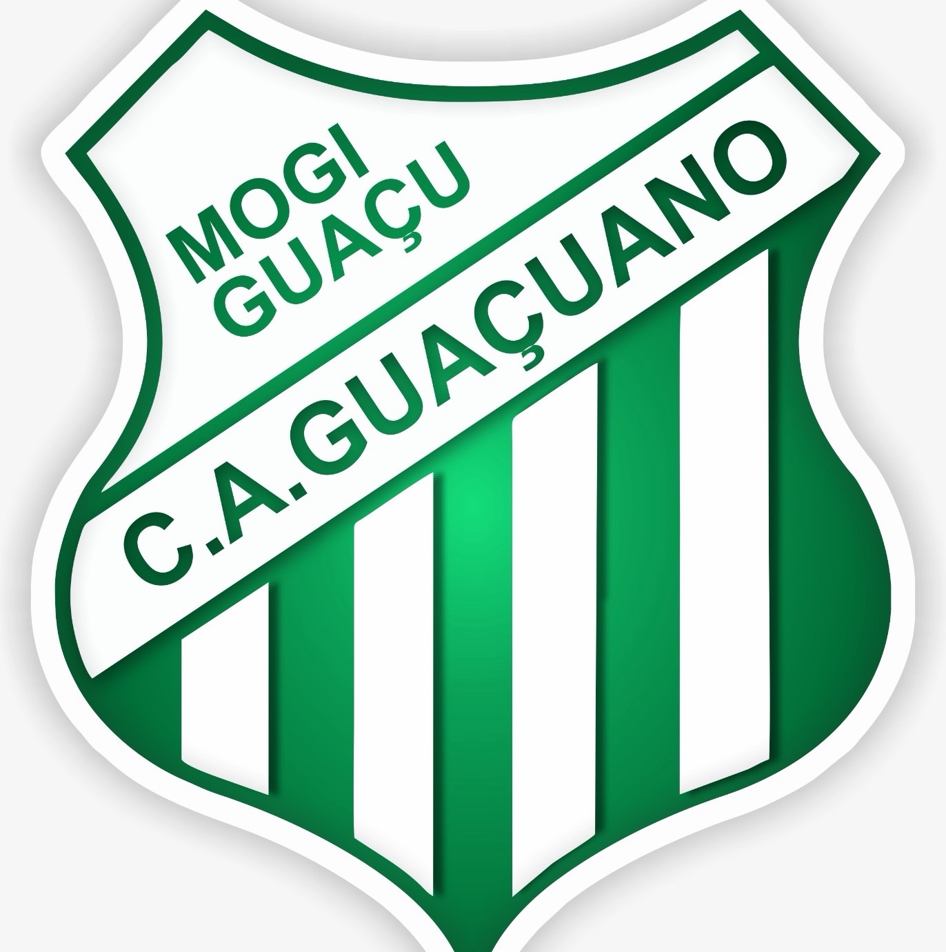 Escudo de Guaçuano Sub14